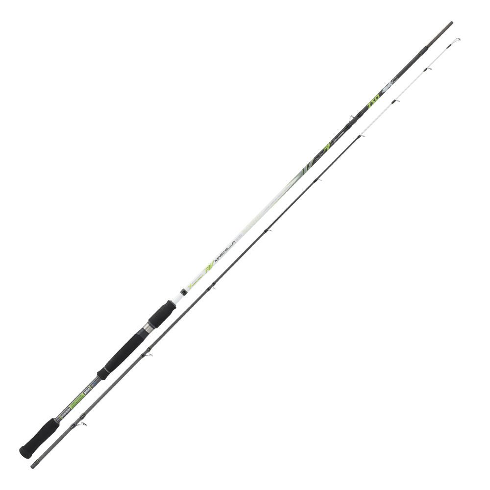 Kali Kunnan Mascella Egi Olta Kamışı