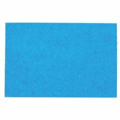 Albastar Eva Sert Olta Mantarı