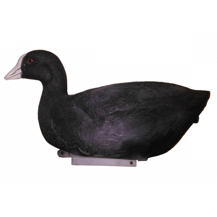 Sakarca Ördek Mühresi (1 adet )