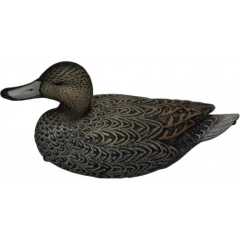 Kılkuyruk Ördek Mühresi 12 li