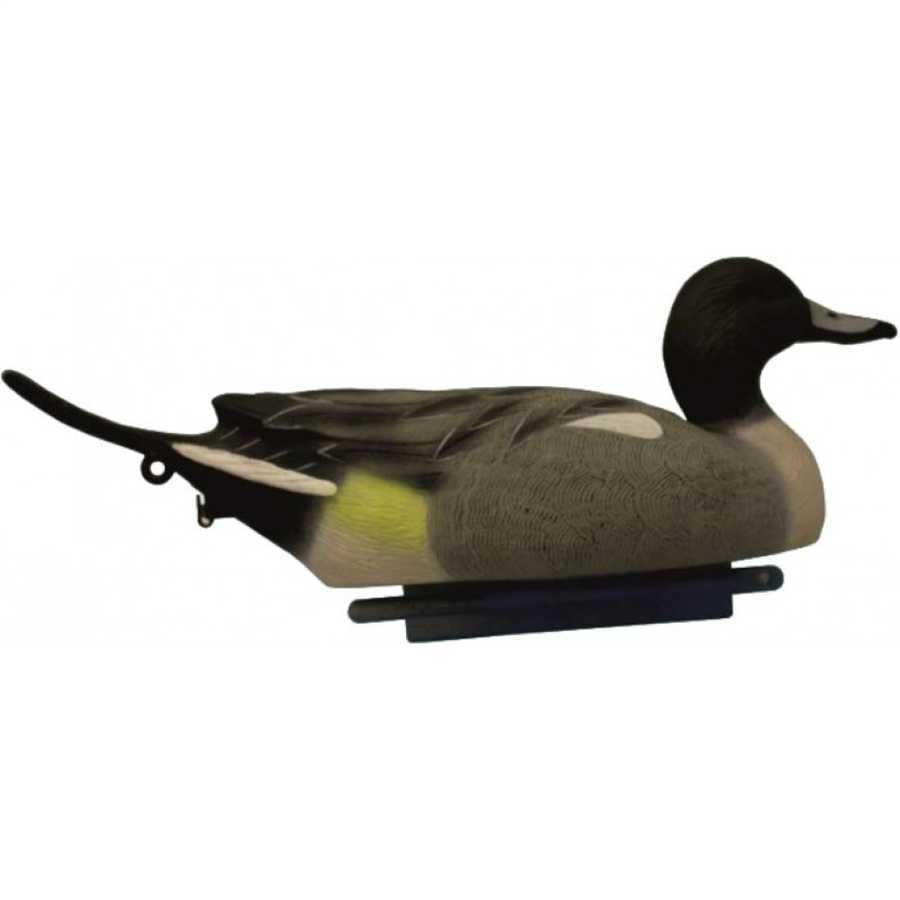 Kılkuyruk Ördek Mühresi 12 li