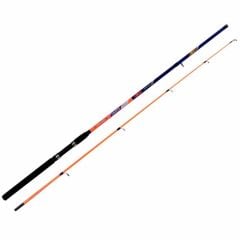 Kali Kunnan Celeste Spin Kamışı